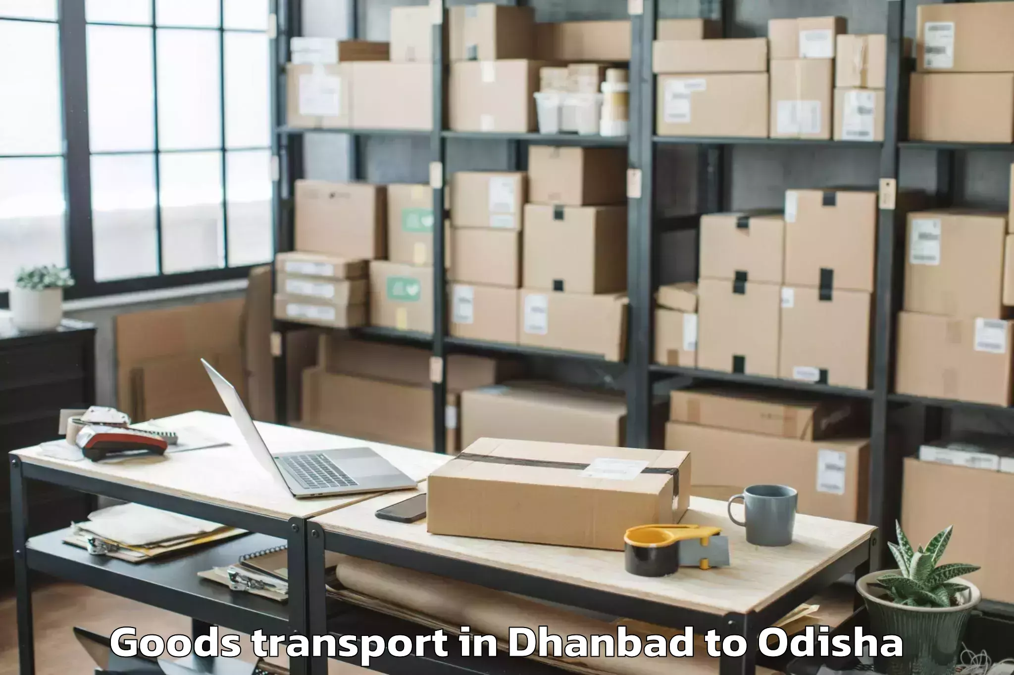 Quality Dhanbad to Belpara Goods Transport